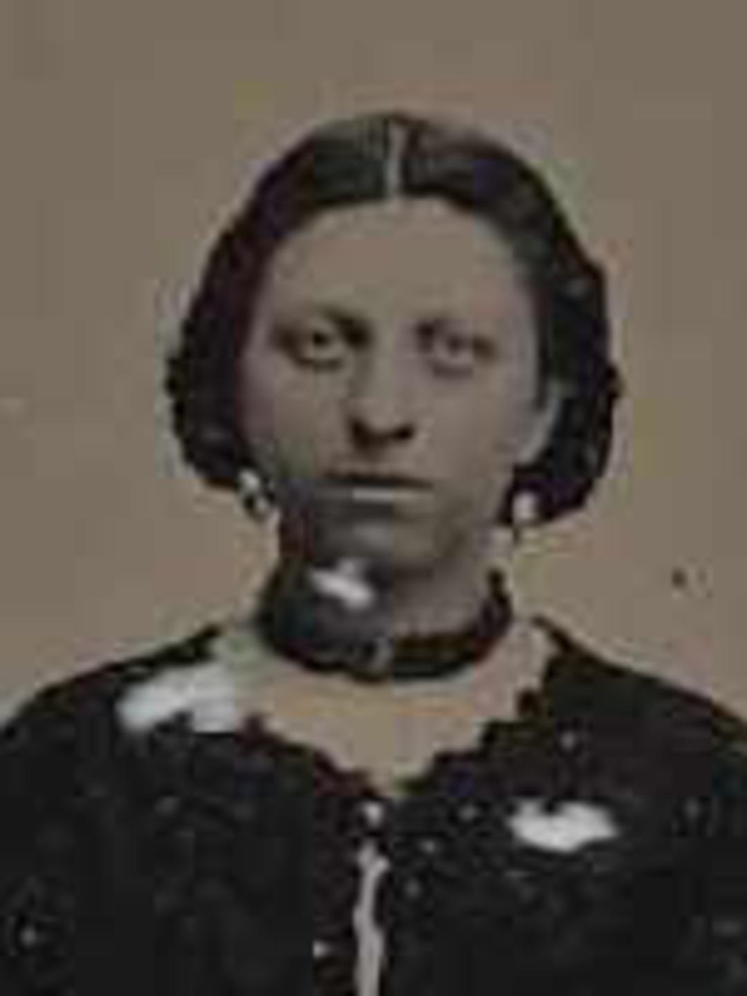 Lucretia Hannah Howard (1845 - 1909) Profile